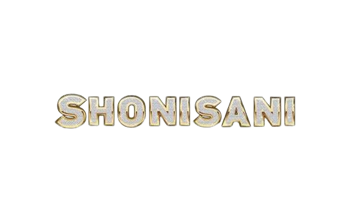 Home logo 4